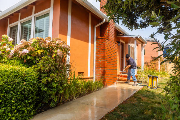 Best Affordable Power Washing  in Sonoma, CA