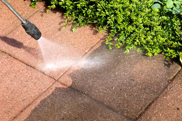 Deck Cleaning Services in Sonoma, CA